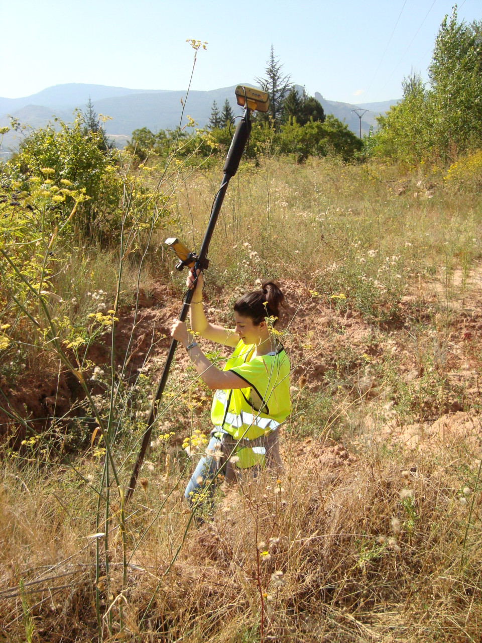 Topografía